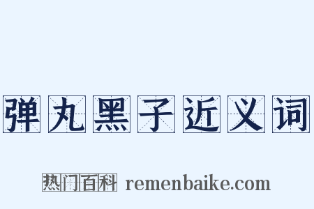 弹丸黑子近义词是什么意思的图片